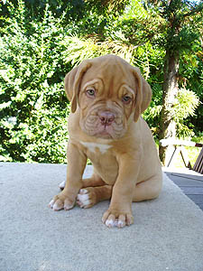 Zarah 8 weeks